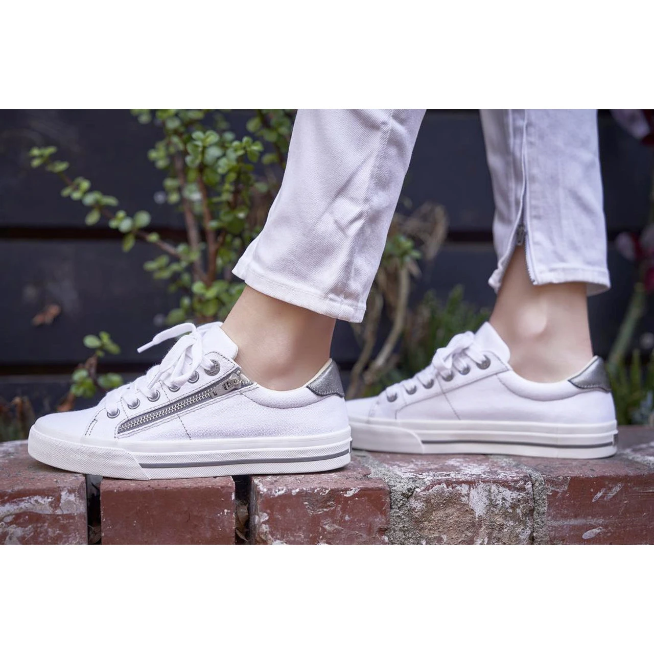 Taos Footwear Women's Z Soul - White / Pewter - Image 6