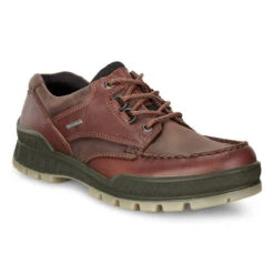 ECCO Men's Track 25 GTX Low - Bison / Bison